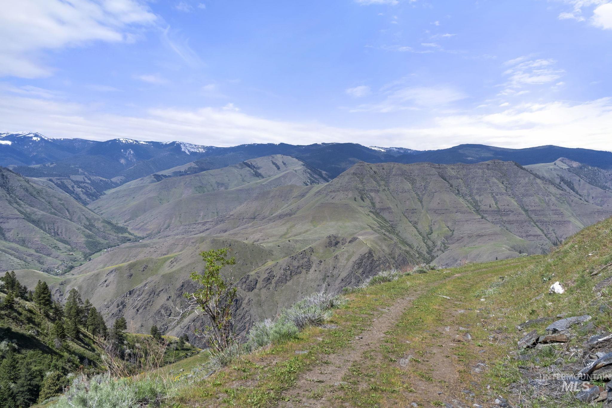 Tbd Tbd Lightning Creek Riggins, ID 83549 - Photo 11 of 29