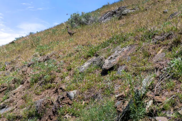 $7,100,000 | Tbd Tbd Lightning Creek, Riggins, ID 83549