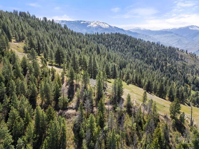 $7,100,000 | Tbd Tbd Lightning Creek, Riggins, ID 83549