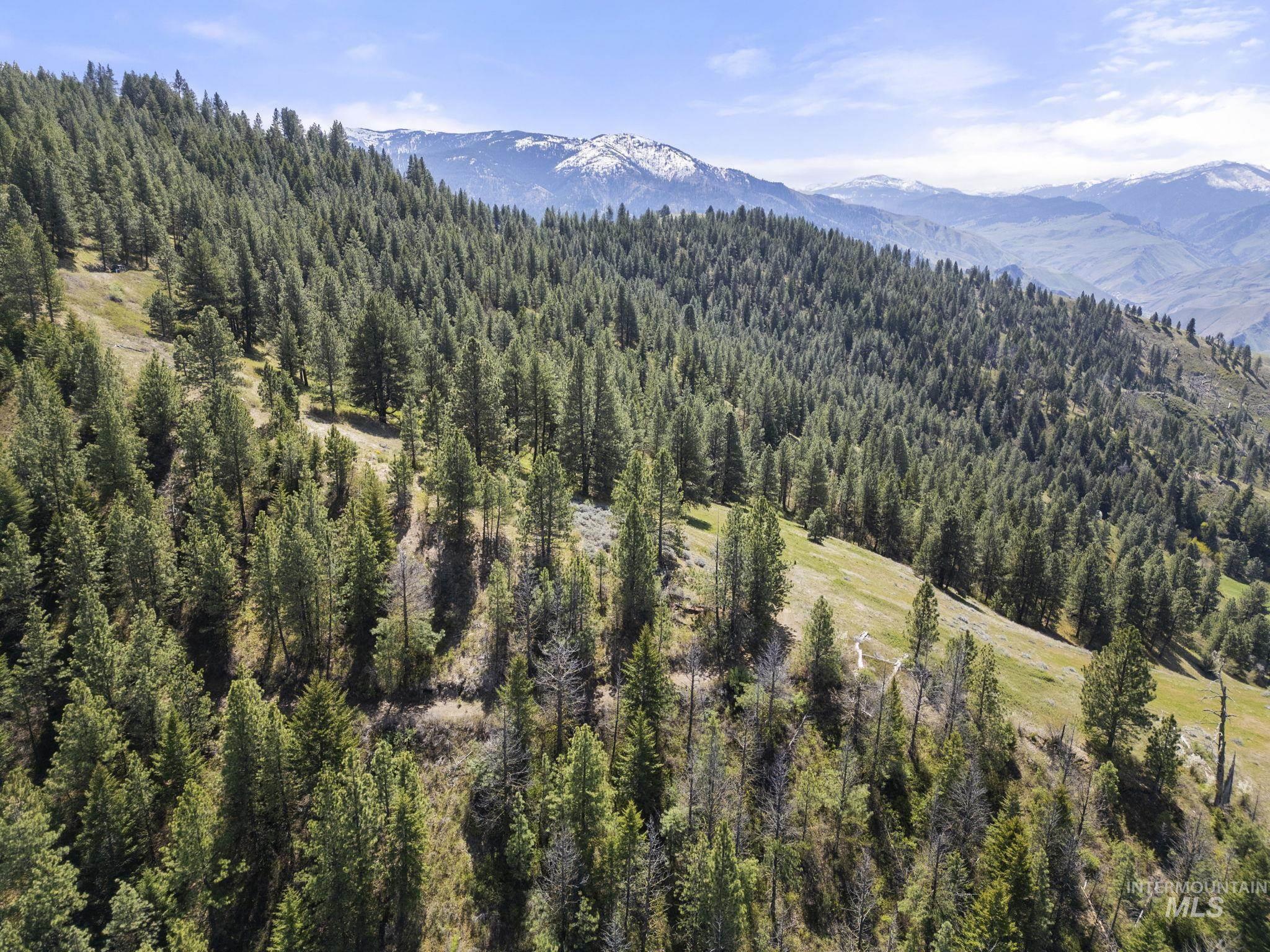 Tbd Tbd Lightning Creek Riggins, ID 83549 - Photo 17 of 29
