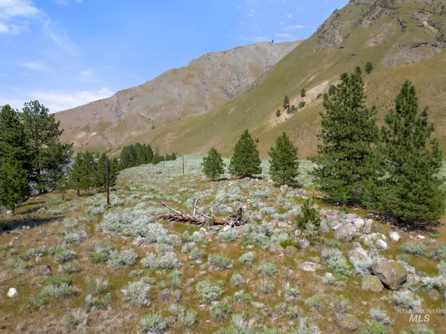 $7,100,000 | Tbd Tbd Lightning Creek, Riggins, ID 83549