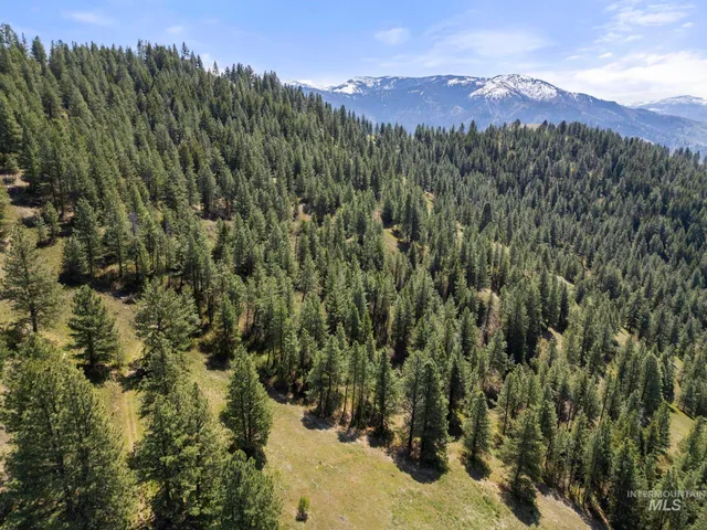 $7,100,000 | Tbd Tbd Lightning Creek, Riggins, ID 83549