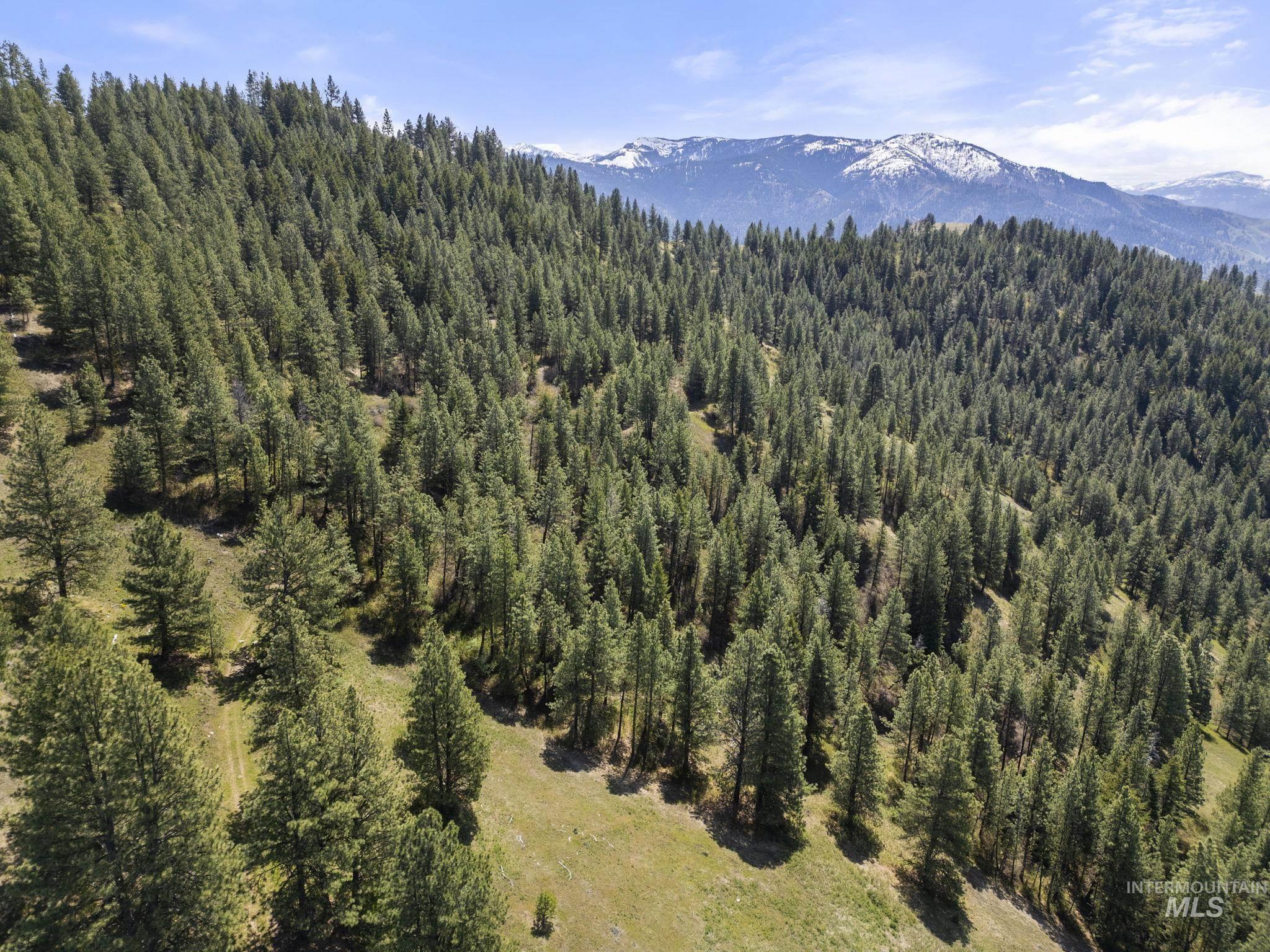 Tbd Tbd Lightning Creek Riggins, ID 83549 - Photo 21 of 29