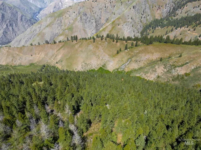 $7,100,000 | Tbd Tbd Lightning Creek, Riggins, ID 83549