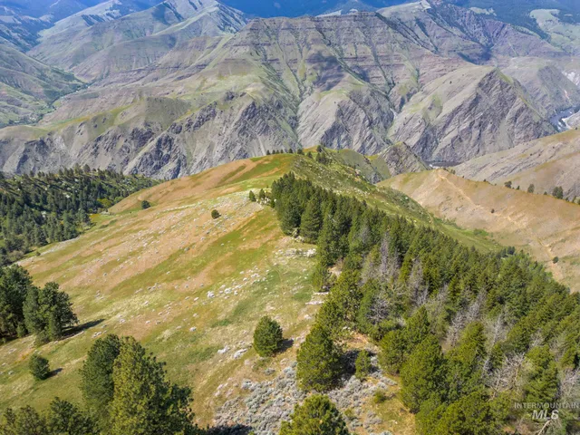 $7,100,000 | Tbd Tbd Lightning Creek, Riggins, ID 83549