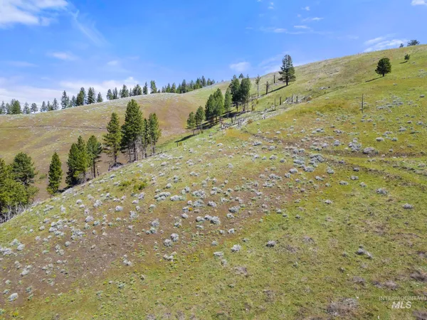 $7,100,000 | Tbd Tbd Lightning Creek, Riggins, ID 83549