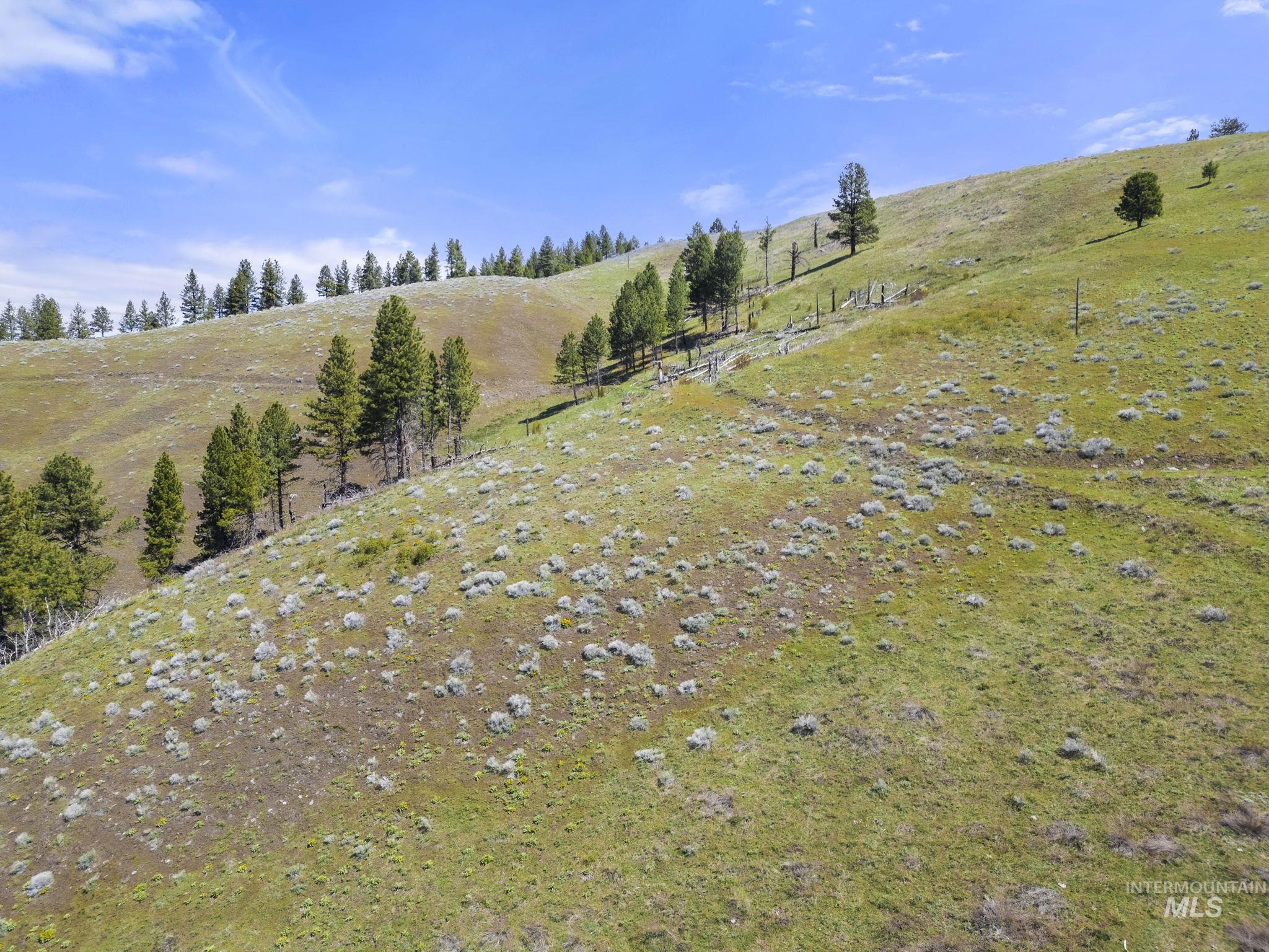Tbd Tbd Lightning Creek Riggins, ID 83549 - Photo 25 of 29
