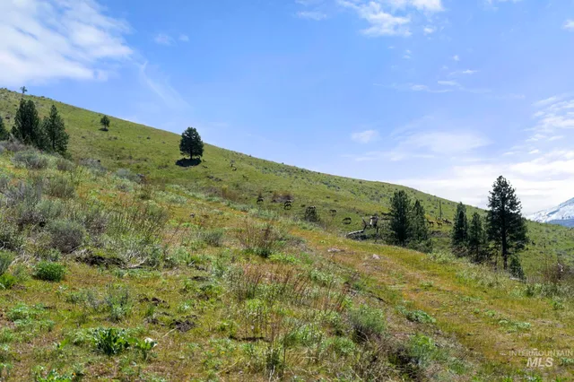 $7,100,000 | Tbd Tbd Lightning Creek, Riggins, ID 83549