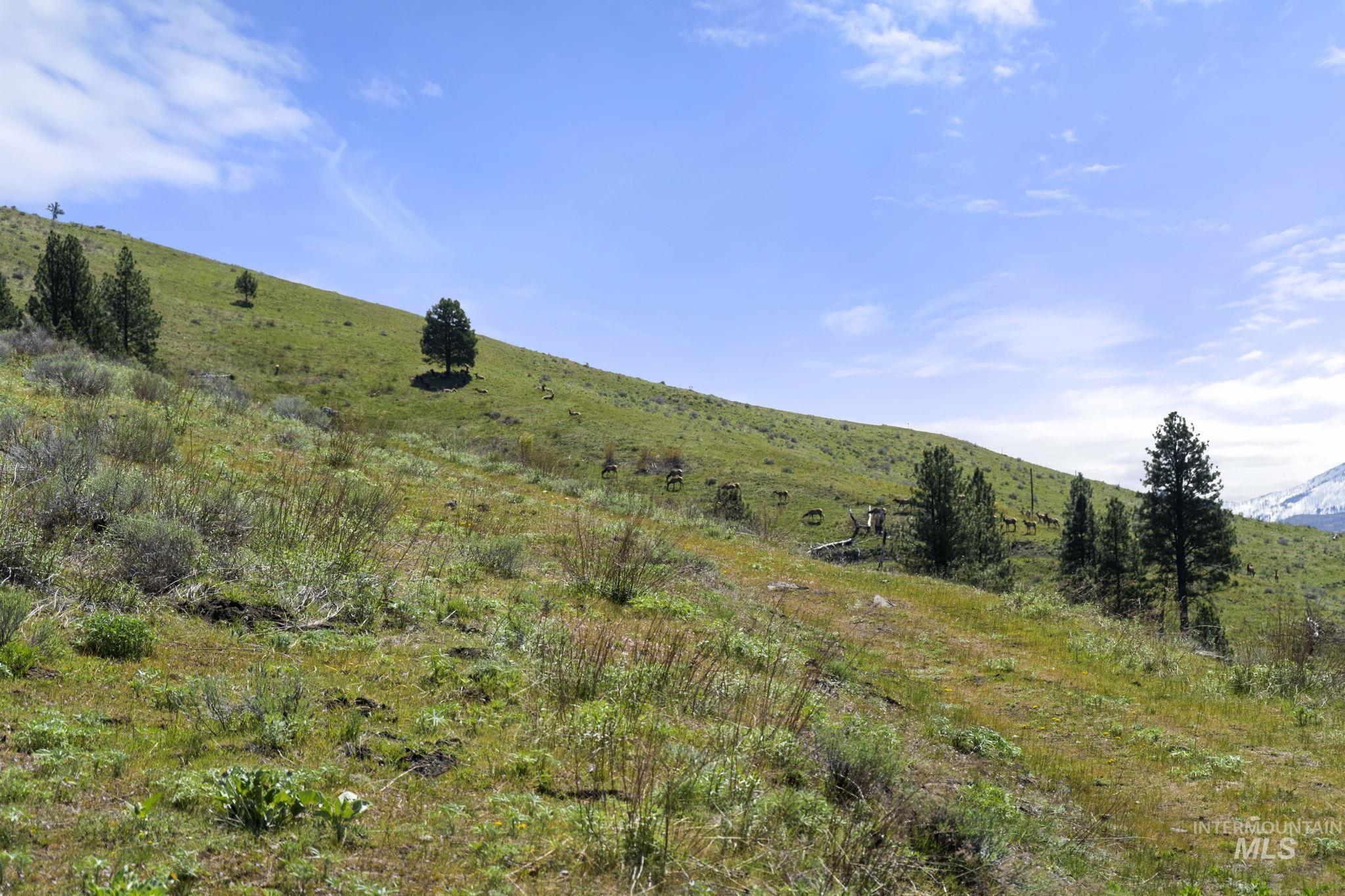 Tbd Tbd Lightning Creek Riggins, ID 83549 - Photo 9 of 29