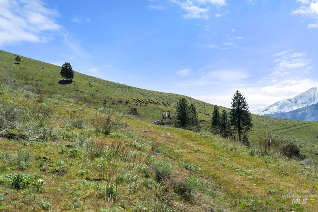 $7,100,000 | Tbd Tbd Lightning Creek, Riggins, ID 83549