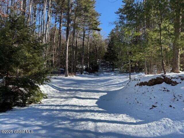 152 Bloody Pond Road Lake George, NY 12845 - Photo 1 of 4 Photo 2