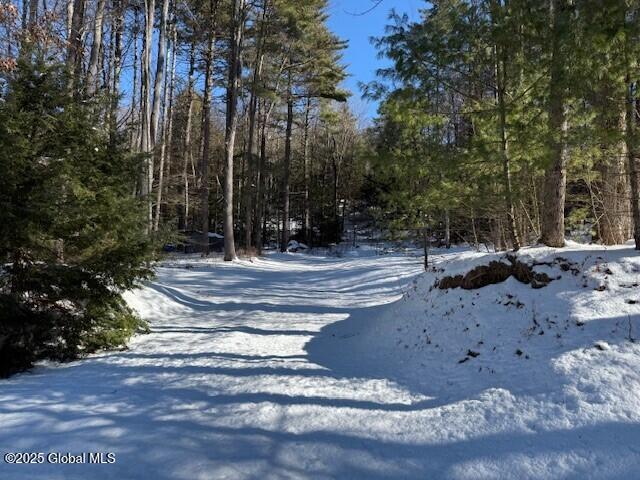 152 Bloody Pond Road Lake George, NY 12845 - Photo 2 of 4 Photo 3