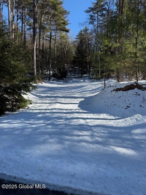 152 Bloody Pond Road Lake George, NY 12845 - Photo 3 of 4 Photo1