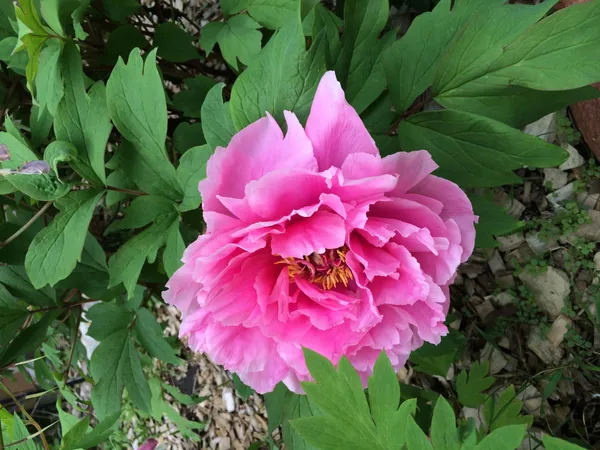 $494,900 | 1764 Humboldt Avenue, West St. Paul, MN 55118