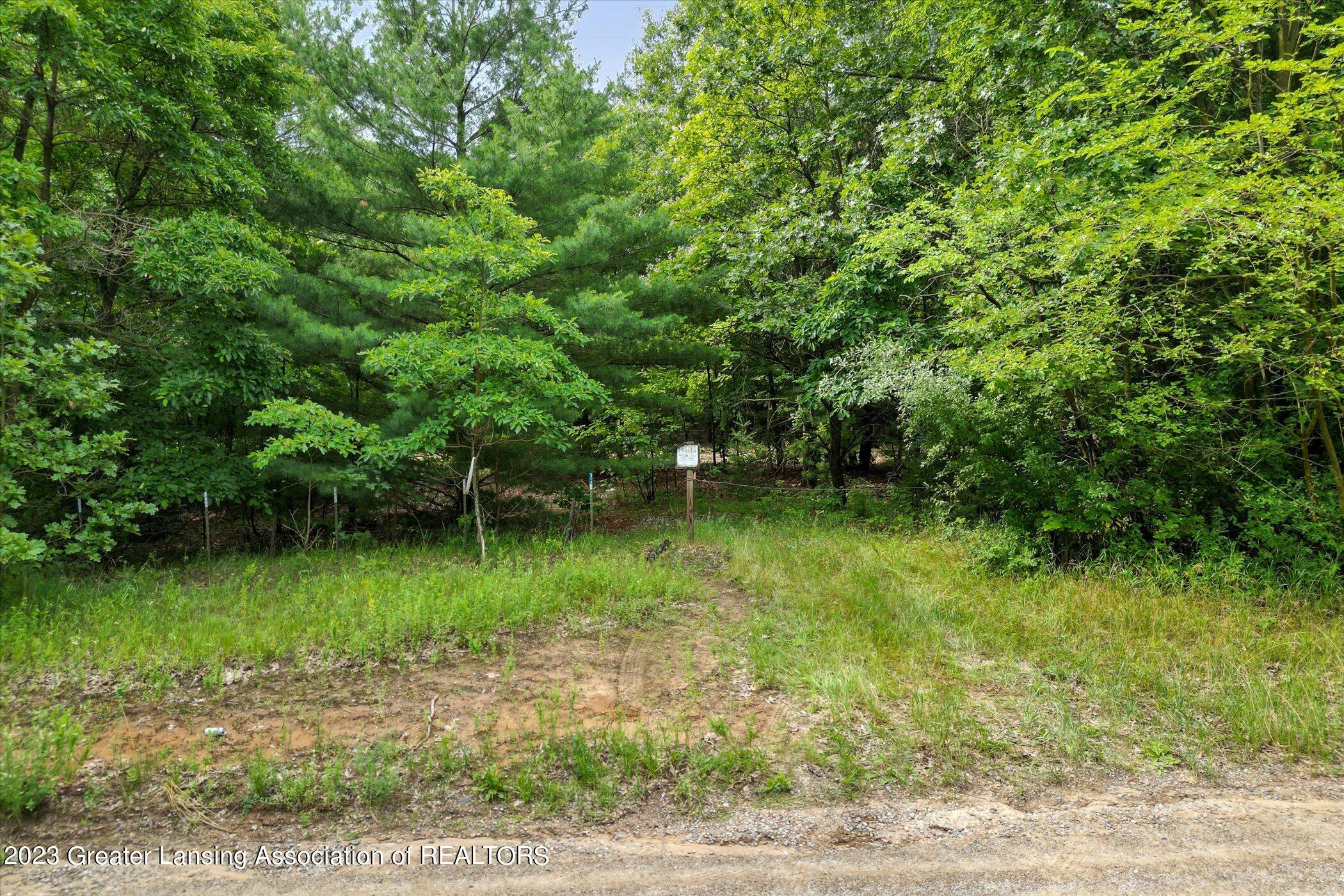 0 McKenna Road Hubbardston, MI 48845 - Photo 3 of 11 10-0-McKenna-Hubbarston-MI-48845-WindowS