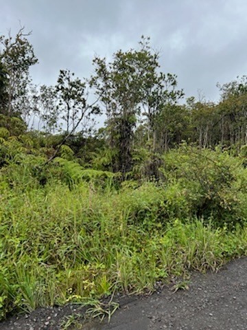 22 Kokokahi Road Mountain View, HI 96771 - Photo 11 of 12 Gallery Image 11