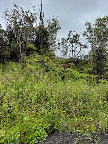 22 Kokokahi Road Mountain View, HI 96771 - Photo 12 of 12 Gallery Image 12