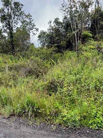 22 Kokokahi Road Mountain View, HI 96771 - Photo 8 of 12 Gallery Image 8