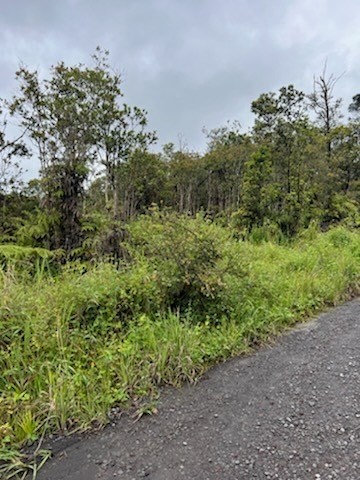 22 Kokokahi Road Mountain View, HI 96771 - Photo 10 of 12 Gallery Image 10