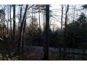 49 Treeline Road Thornton, NH 03285 - Photo 2 of 4
