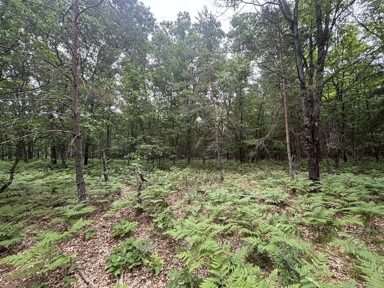 7376 West 7 Mile Road Mesick, MI 49668 - Photo 19 of 26 Gallery Image 19