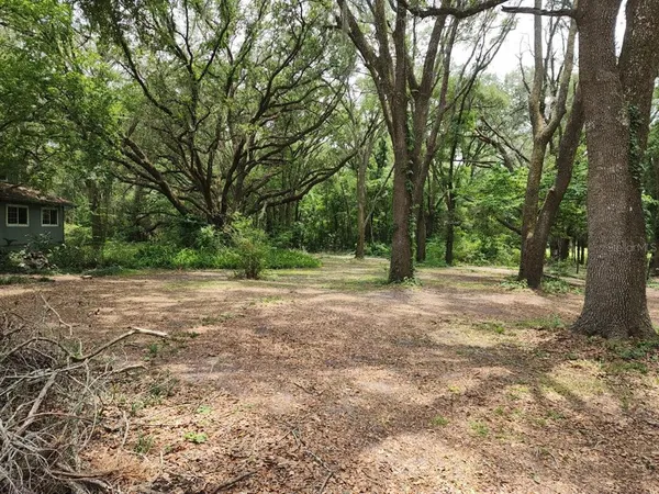 a view of outdoor space with trees