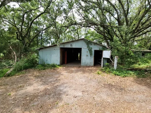 a backyard of a house with plants and large tree