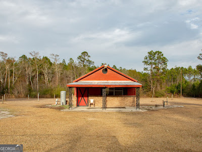 5209 Highway 32 Patterson, GA 31557 - Photo 43 of 45 a view of a house with a yard and sitting area