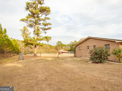 5209 Highway 32 Patterson, GA 31557 - Photo 10 of 57