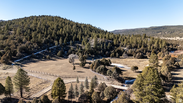 Expansive forested landscape featuring a valley, surrounding hills, mature pine trees, a dirt road, and a timber bridge