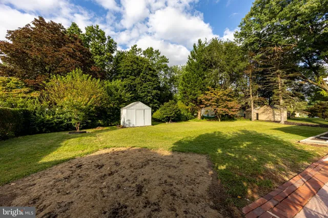 a view of a trees with yard