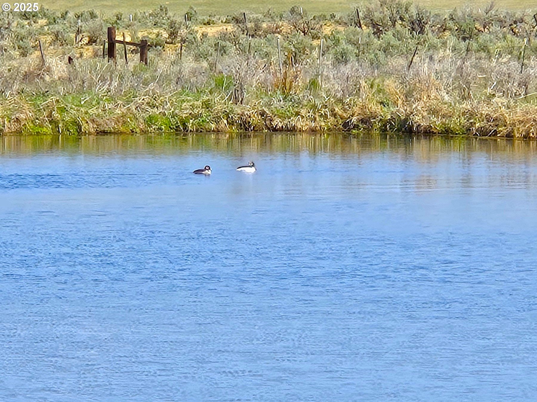401 Main Street Unity, OR 97884 - Photo 42 of 46 a view of a lake with houses in the background