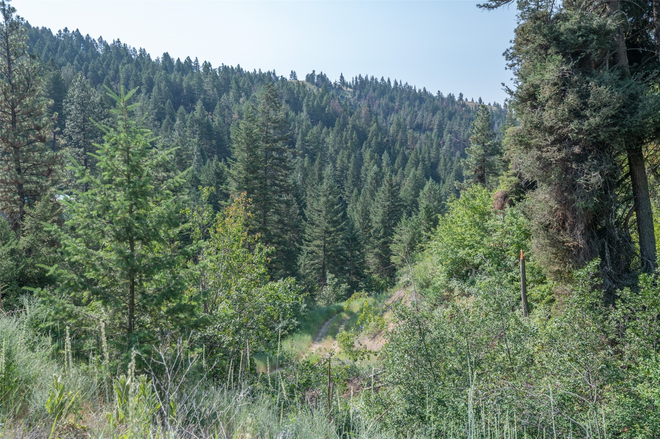 18866 Copper Rdg Trail Florence, MT 59833 - Photo 113 of 139 Gallery Image 113