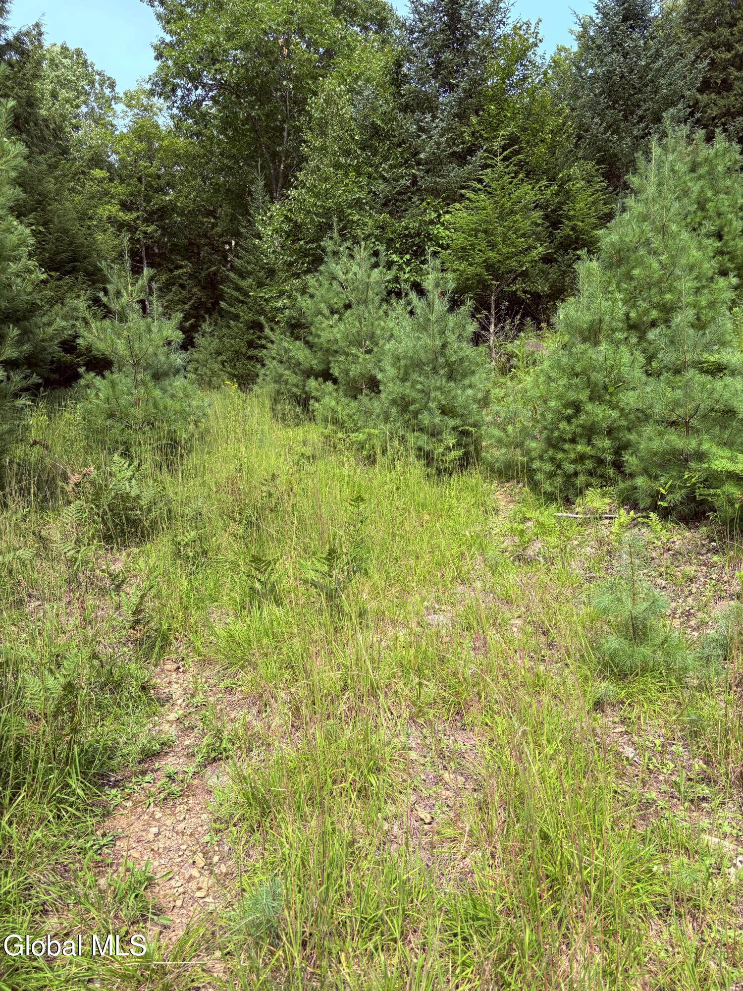 232 Eddy Road Hadley, NY 12835 - Photo 5 of 9 IMG_1493