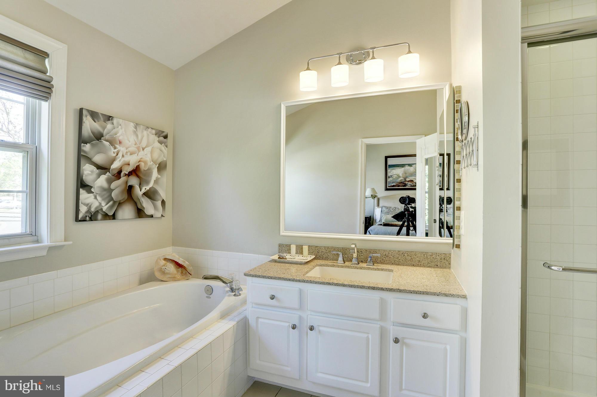 11024 Hemingway Court Silver Spring, MD 20902 - Photo 22 of 25 Bath (Master)