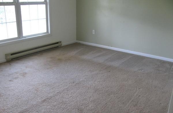 1191 Bethany Road Callaway, VA 24067 - Photo 2 of 13 an empty room with a window