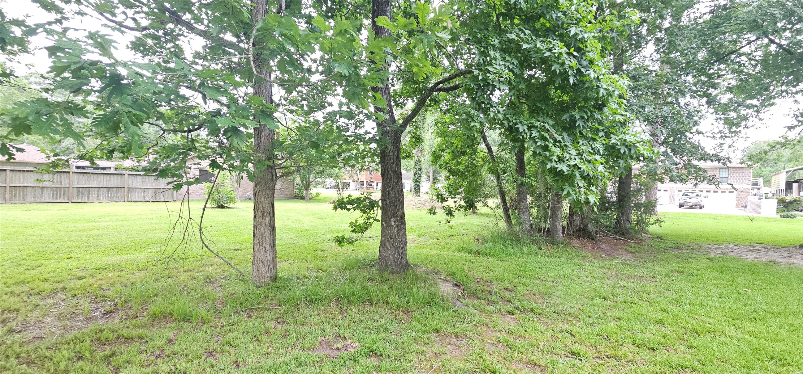 1810 Round Wind Trail Crosby, TX 77532 - Photo 4 of 8 a view of backyard with large trees