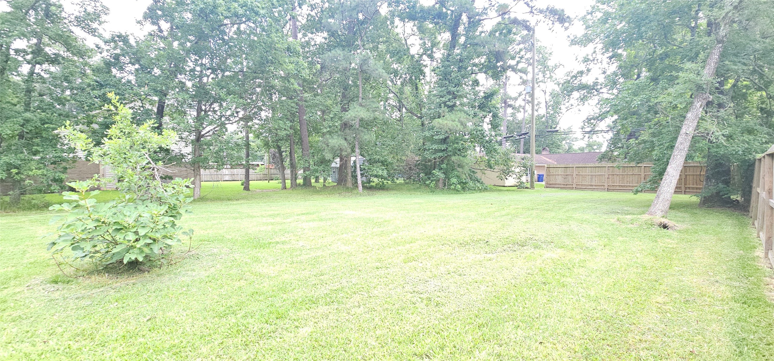 1810 Round Wind Trail Crosby, TX 77532 - Photo 6 of 8 a view of a yard with a tree