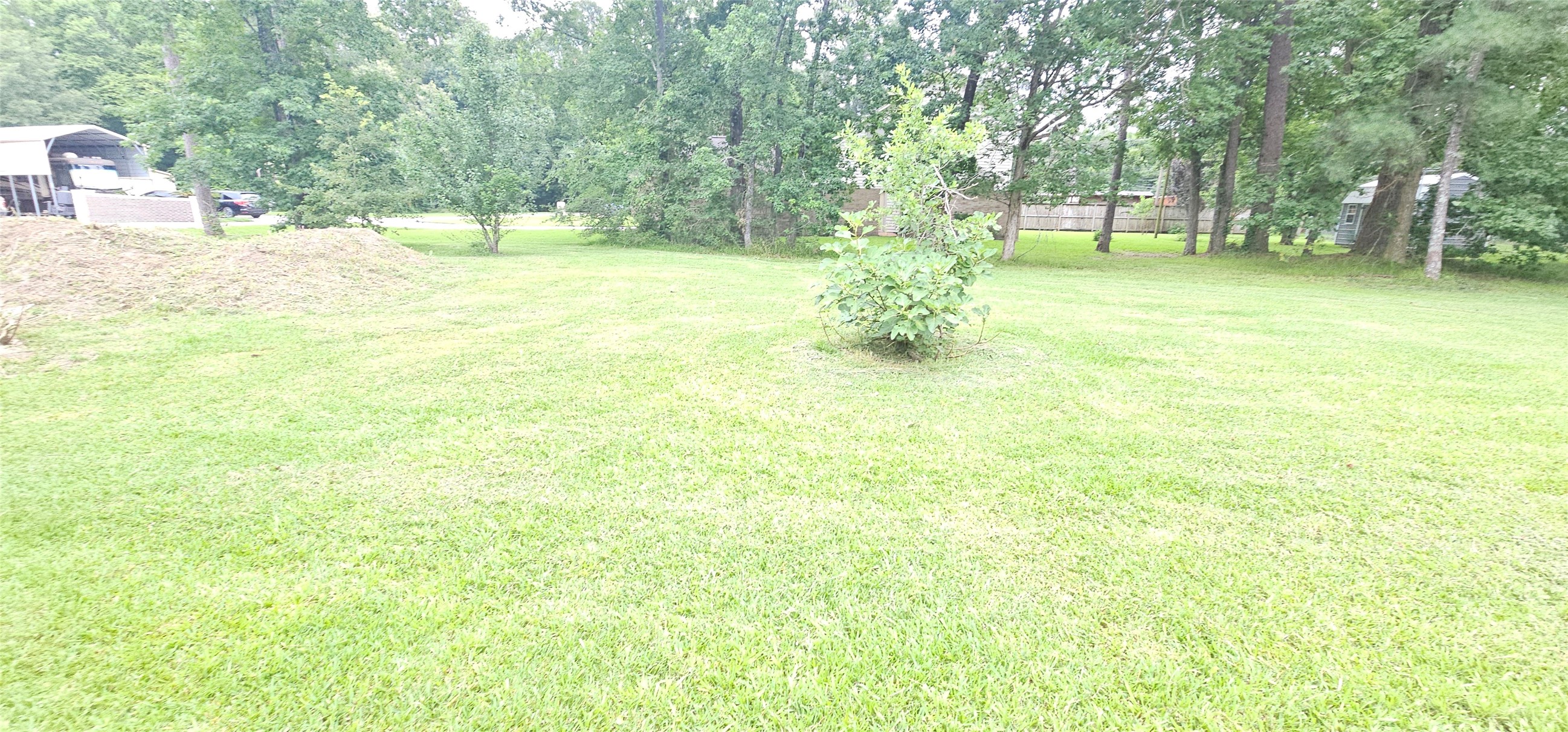 1810 Round Wind Trail Crosby, TX 77532 - Photo 7 of 8 a view of yard with tree and wooden fence