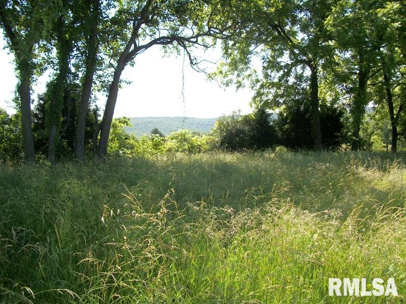 0 Mountain Road Herod, IL 62947 - Photo 1 of 1