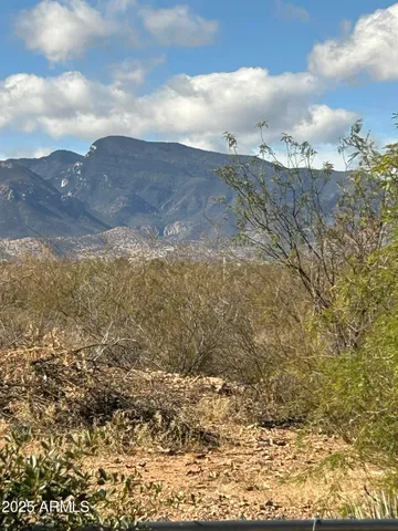 a view of a dry yard with wooden fence