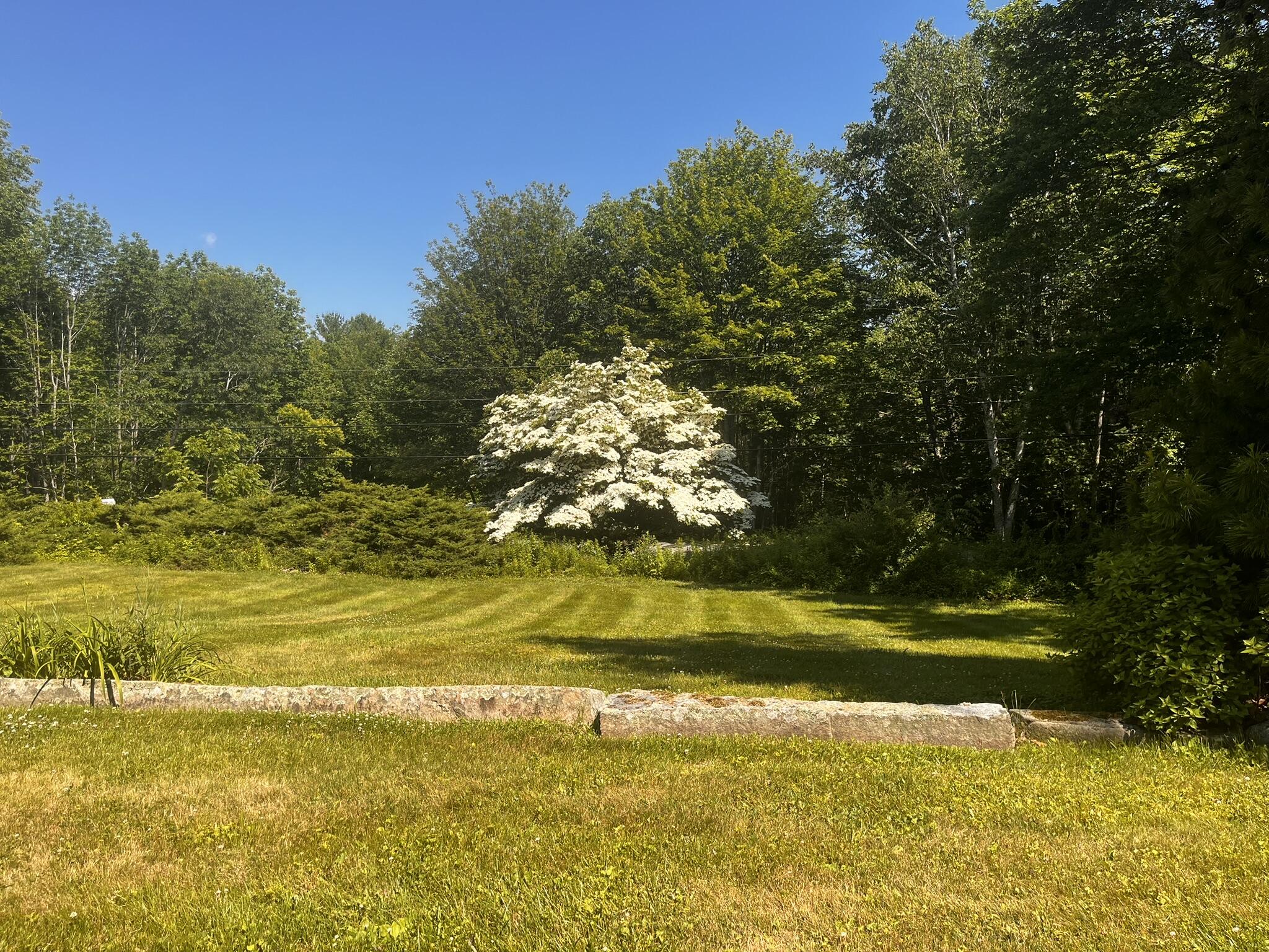 155 Lessner Road Damariscotta, ME 04543 - Photo 78 of 80 IMG_8223