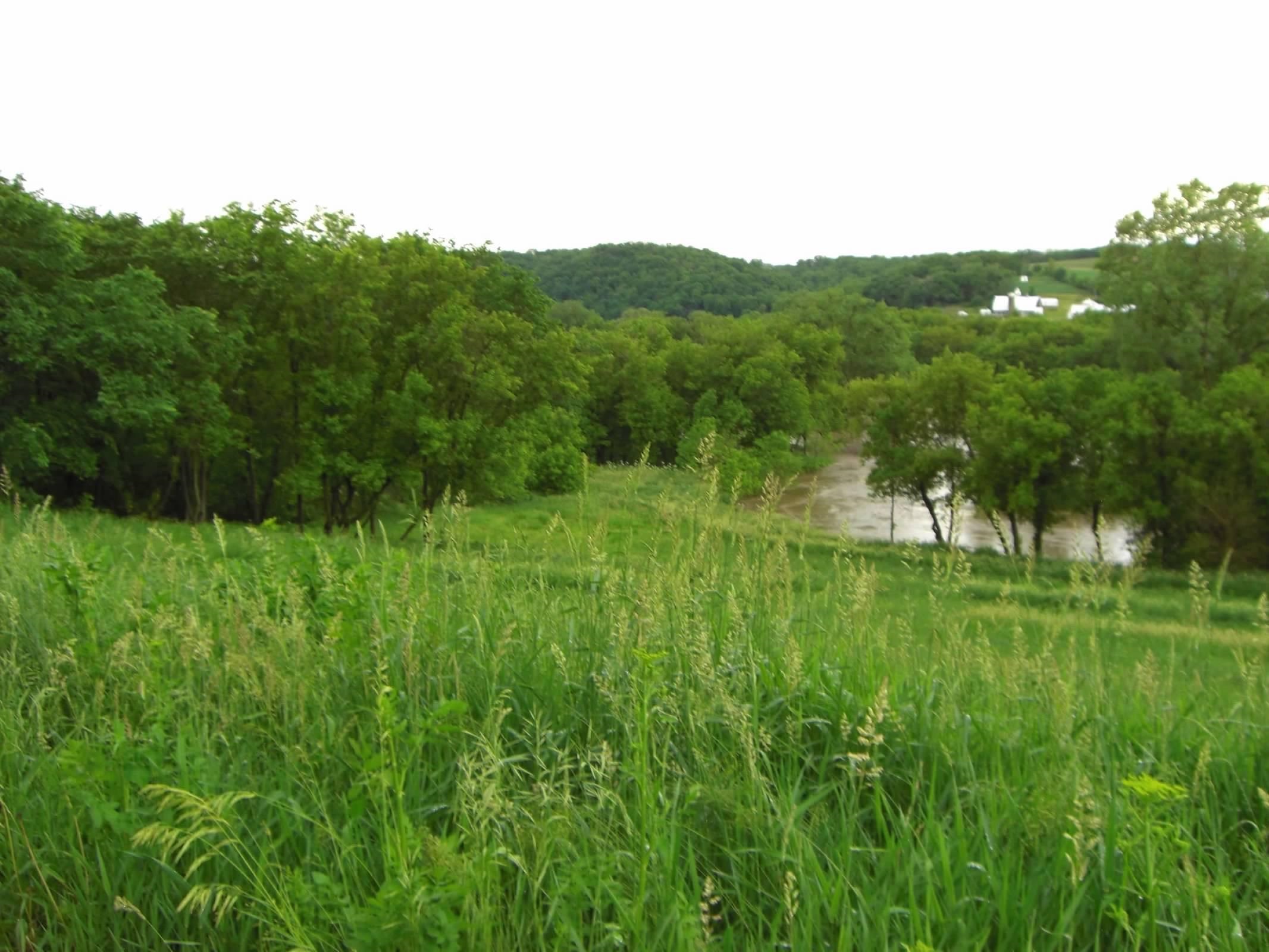 Lot 15 Porter Bridge Road Bloomington, WI 53804 - Photo 11 of 14