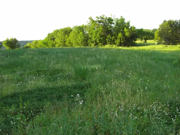 $75,000 | Lot 15 Porter Bridge Road, Bloomington, WI 53804