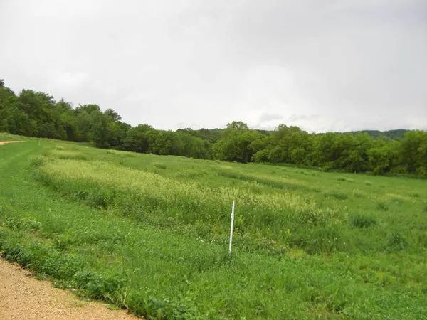 $75,000 | Lot 15 Porter Bridge Road, Bloomington, WI 53804