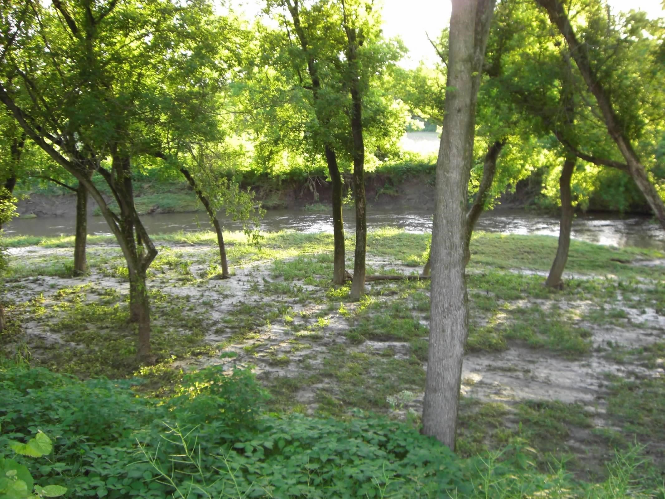 Lot 15 Porter Bridge Road Bloomington, WI 53804 - Photo 9 of 14