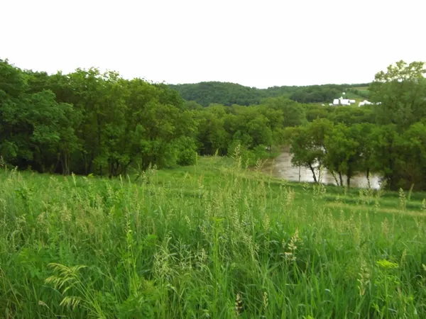 $75,000 | Lot 15 Porter Bridge Road, Bloomington, WI 53804