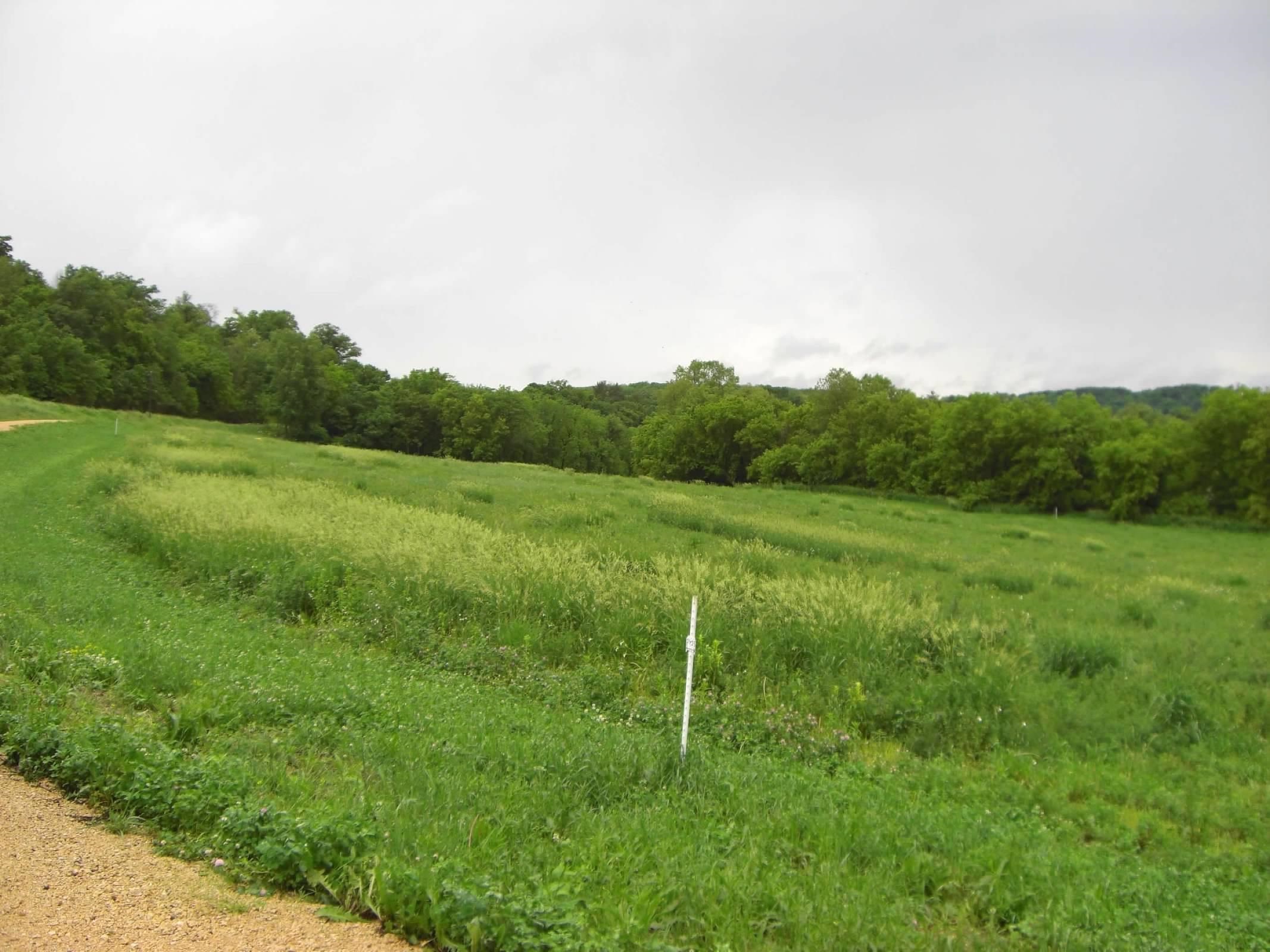 Lot 15 Porter Bridge Road Bloomington, WI 53804 - Photo 10 of 14