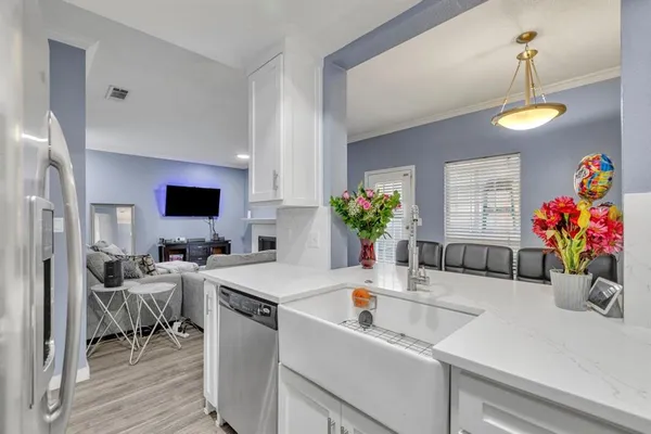 a kitchen filled with a potted plant on the counter and a sink