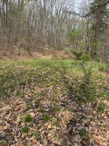 0 Walnut Dowler Road Logan, OH 43138 - Photo 8 of 12 8